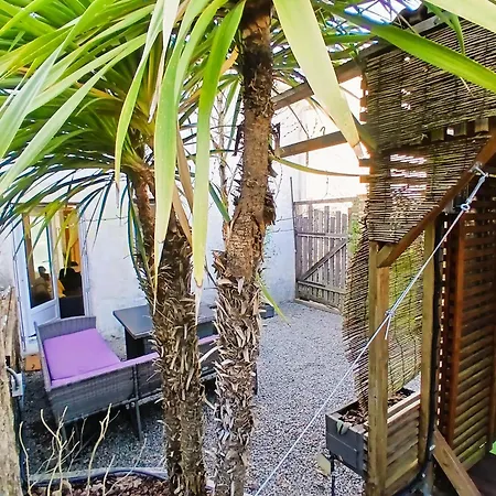 Ferienhaus L Oasis Cosy Sauna Prive Et Jardin